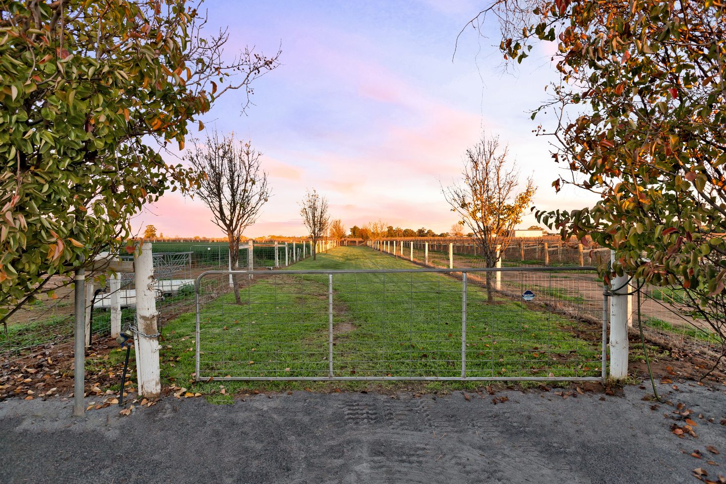 A gate opening towards fenced paddocks and a grassy central track